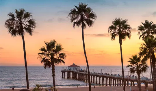 Palm trees on a beach with a pier
